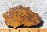 Bargain Bin F Slab 222