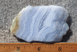 Blue Lace Agate Rock Slab 193