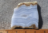 Blue Lace Agate Rock Slab 187