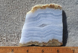 Blue Lace Agate Rock Slab 186