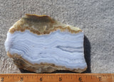 Blue Lace Agate Rock Slab 163