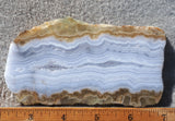 Blue Lace Agate Rock Slab 162