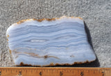 Blue Lace Agate Rock Slab 179
