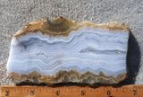 Blue Lace Agate Rock Slab 166