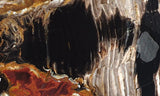 Biggs Flame 155