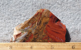 Bargain Bin F Slab 204