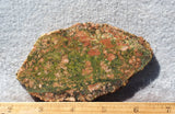 Bargain Bin E Slab 172