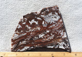 Cady Mountain Slab 291