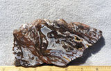 Cady Mountain Slab 187