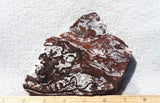 Cady Mountain Slab 185