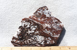 Cady Mountain Slab 185