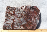 Cady Mountain Slab 188
