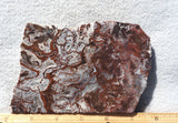 Cady Mountain Slab 188