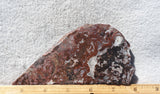 Cady Mountain Slab 183