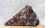 Cady Mountain Slab 184