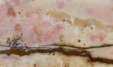 Polka Dot Agate Rock Slab 192