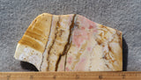 Polka Dot Agate Rock Slab 192