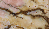 Polka Dot Agate Rock Slab 193