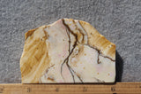 Polka Dot Agate Rock Slab 199