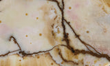 Polka Dot Agate Rock Slab 199