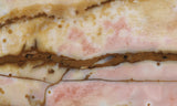 Polka Dot Agate Rock Slab 197