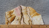 Polka Dot Agate Rock Slab 194