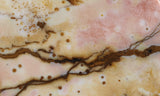 Polka Dot Agate Rock Slab 194