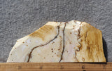 Polka Dot Agate Rock Slab 198