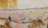Polka Dot Agate Rock Slab 196