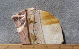 Polka Dot Agate Rock Slab 196