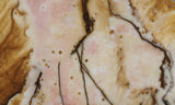 Polka Dot Agate Rock Slab 191