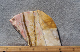 Polka Dot Agate Rock Slab 195