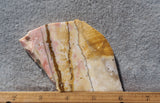Polka Dot Agate Rock Slab 195