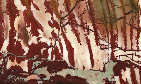 Dead Camel Jasper Rock Slab 46