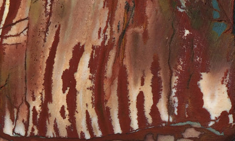 Dead Camel Jasper Rock Slab 49