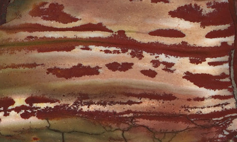 Dead Camel Jasper Rock Slab 48