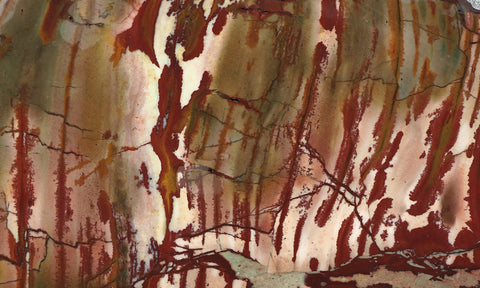 Dead Camel Jasper Rock Slab 47