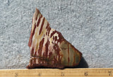 Dead Camel Jasper Rock Slab 51