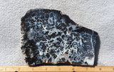 Medicine Bow Agate Slab 192