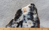 Medicine Bow Agate Slab 193