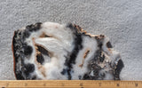 Medicine Bow Agate Slab 195