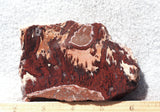Cady Mountain Rock Slab 195
