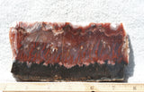 Mexican Flame Agate Rock Slab 37