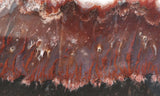 Mexican Flame Agate Rock Slab 37