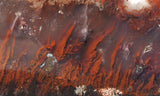 Mexican Flame Agate Rock Slab 36
