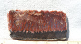 Mexican Flame Agate Rock Slab 35