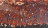 Mexican Flame Agate Rock Slab 35