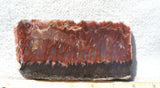Mexican Flame Agate Rock Slab 35