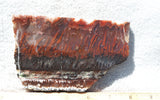 Mexican Flame Agate Rock Slab 34