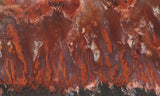 Mexican Flame Agate Rock Slab 33
